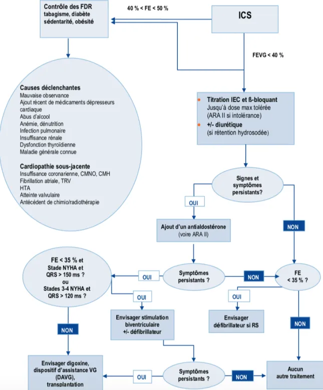 Figure 14 : Diagramme de prise en charge de l'IC d'après la HAS 