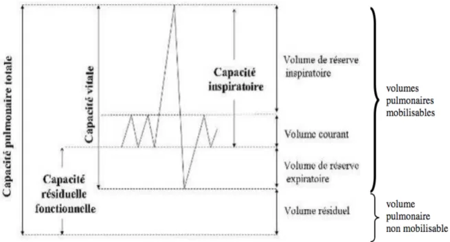 Figure 4 : Volumes et capacités pulmonaires. 