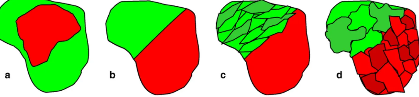Fig. 1. Schematic representation of particles with identical apparent liberation ratios but different textural properties