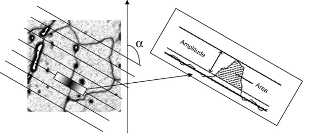 Fig. 8 illustrates the principle of grey level intercepts on a multiradial gradient image