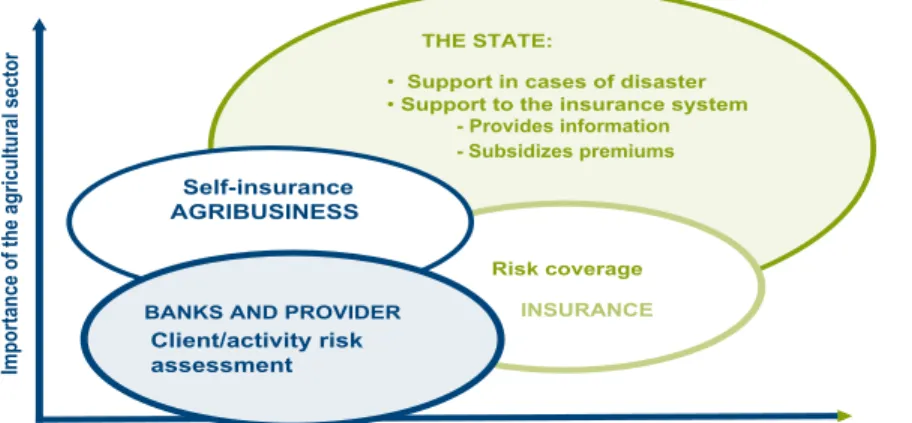 Figure 2.3. Actors involved in risk management and in the supply of  agricultural insurance.