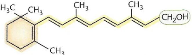 Figure n°13 : Structure chimique du rétinol (12)  Sources  