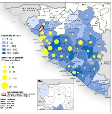 Figure  2.  Répartition  géographique  des  nouveaux  cas  et  de  l’ensemble  des  cas  confirmés  en  Guinée, au Libéria et en Sierra Leone au 7 janvier 2015