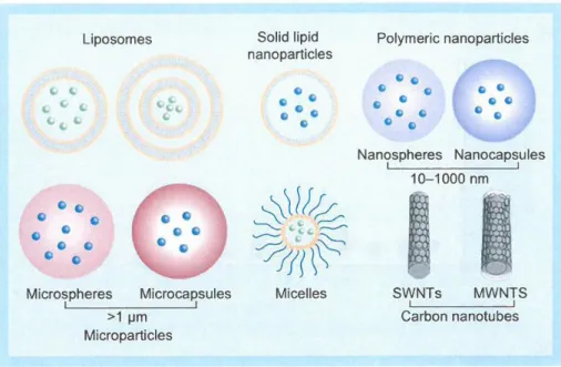 Figure 8 : Les différents systèmes de délivrance micro-particulaires et colloïdaux [56] 