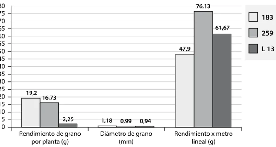 Figura 1. Comparación de promedios de rendimiento 18376,13 61,67 259 L 13807570656055 50 45 40 35 30 25 20 15 10 5 0 Rendimiento de grano 
