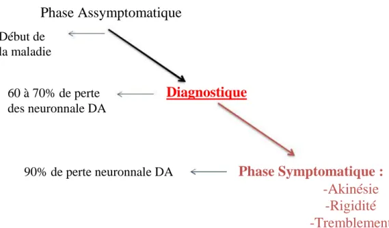 Figure 10 : Les différentes phase de la MP 