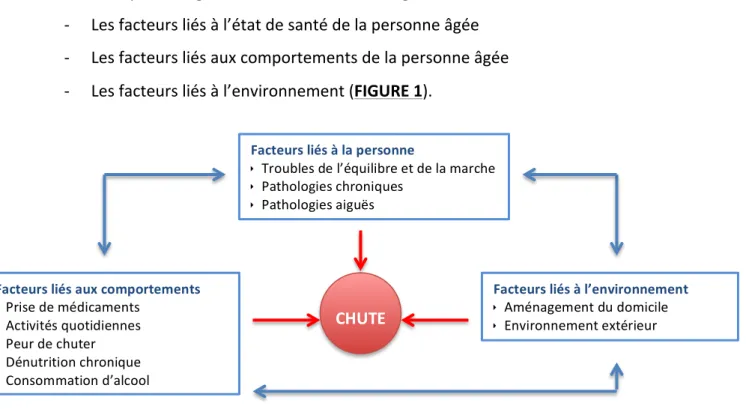 FIGURE   1    :   LA   MULTIFACTORIALITE   DE   LA   CHUTE   