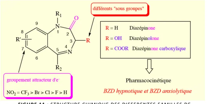 FIGURE   11    :   STRUCTURE   CHIMIQUE   DES   DIFFERENTES   FAMILLES   DE       BENZODIAZEPINES   (138)   