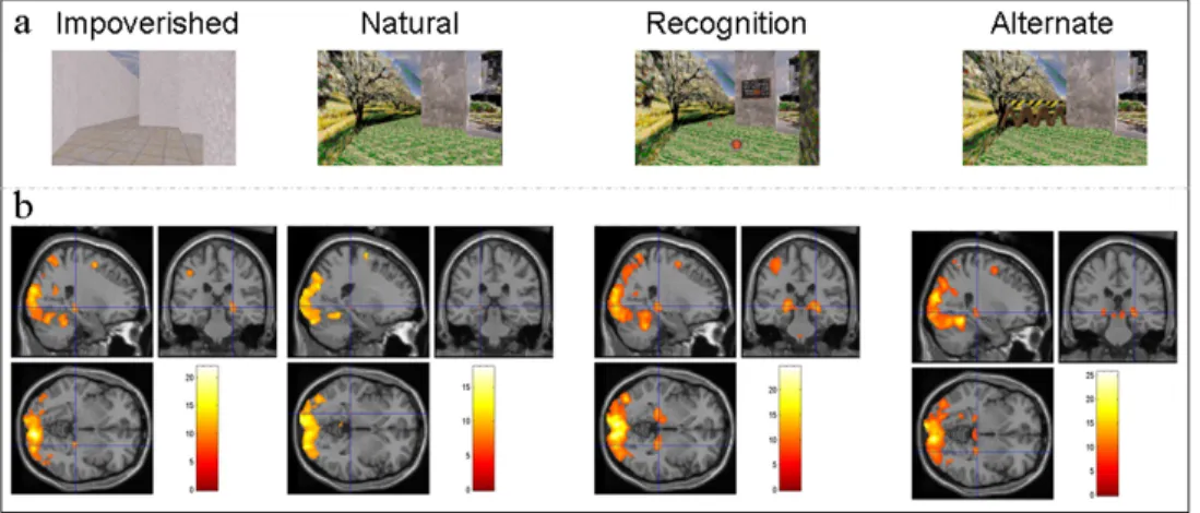 Figure 2: a. Navigation conditions. The four images illustrate the same location in the  environment as viewed by the subject in the four experimental conditions