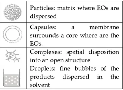 Figure 2. Illustration of essential oil (EO) encapsulation types.