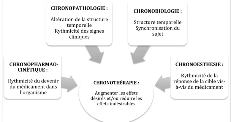 Figure 4 : Concept de la chronothérapie.(28) 
