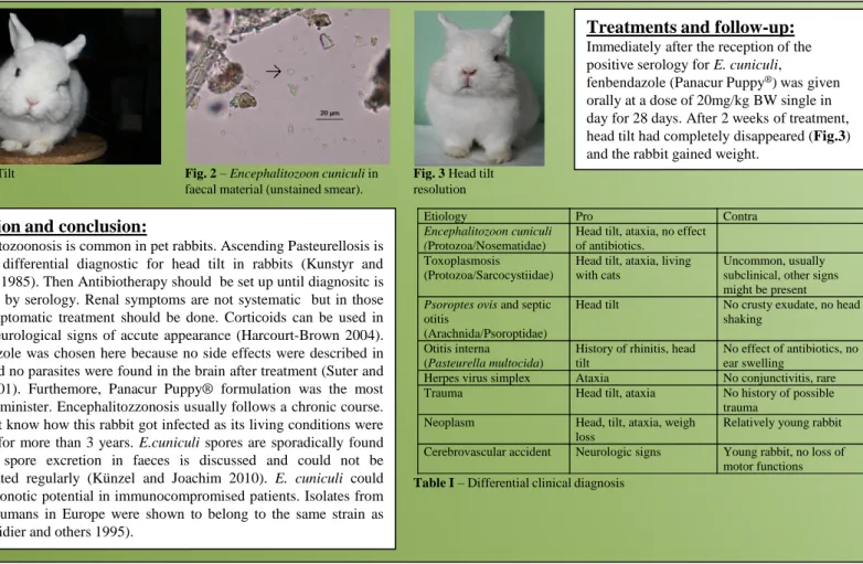 Fig. 1 Head Tilt   Fig. 2 – Encephalitozoon cuniculi in   faecal material (unstained smear)