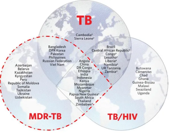 Figure 7. Liste des pays les plus sévèrement touchés par la TB, la TB-MR et la coinfection  TB/VIH définis par l’OMS pour la période 2016-2020 (OMS, 2018a) 