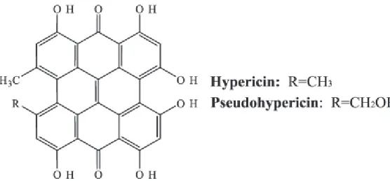 Figure 13 : Structure de l’hypéricine et de la pseudohypéricine (Bilia A.R. et al. 2002) 
