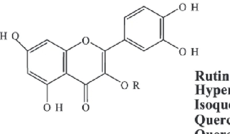 Figure 14 : Structure générale des flavonoïdes (Bilia A.R. et al. 2002) 