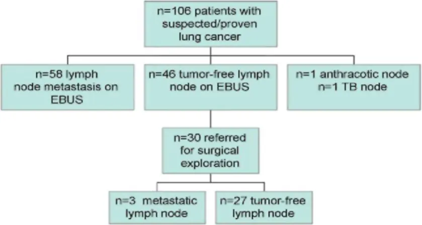 Fig. 1 describes the final diagnosis in the 106 patients. EBUS-TBNA revealed lung cancer lymph node 