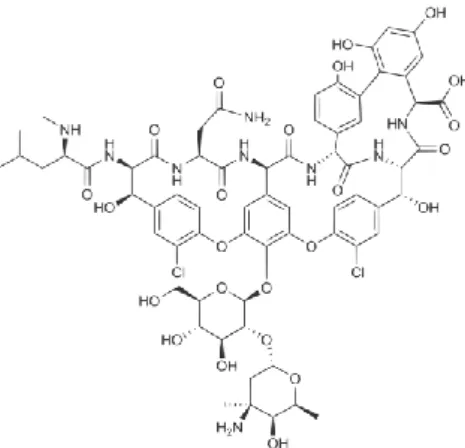 Figure 4: Exemple de glycopeptide : la vancomycine(6) 