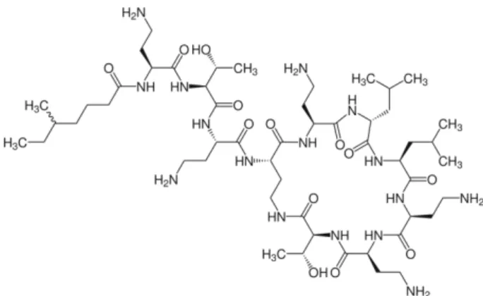 Figure 6: exemple de polymixine: la colistine