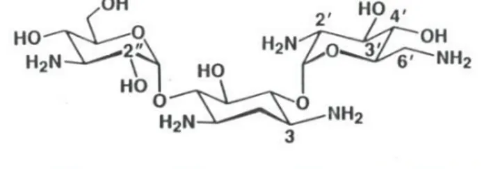 Figure 7 : Aminoside 