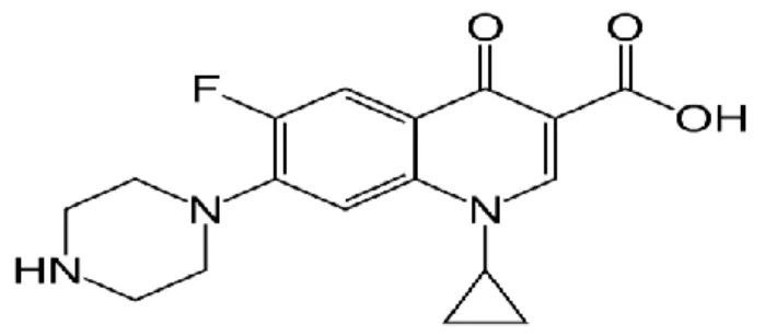 Figure 13 : exemple de quinolone : la ciprofloxacine. 