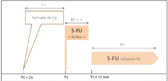 Figure 5: Schéma du p (Ca : calcium 8  Mode d’administration 