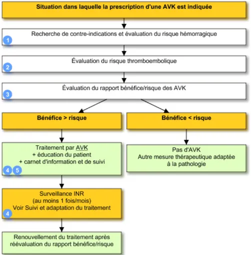 Figure 5 : Mise en place d’un traitement AVK (14) 