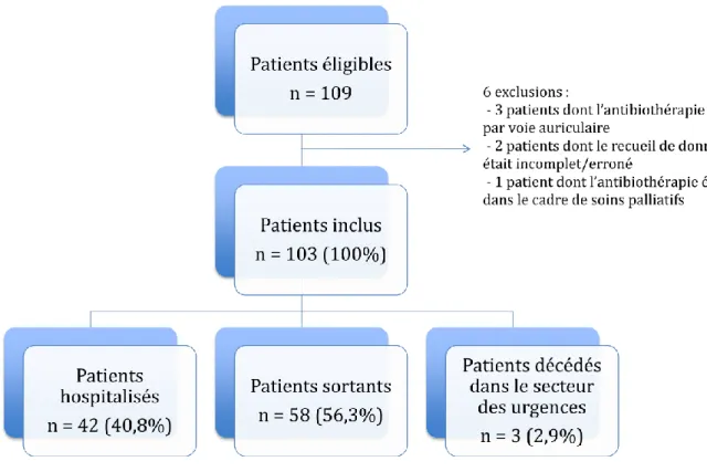 Figure 2 : devenir des patients intégrés au cours de l’étude 