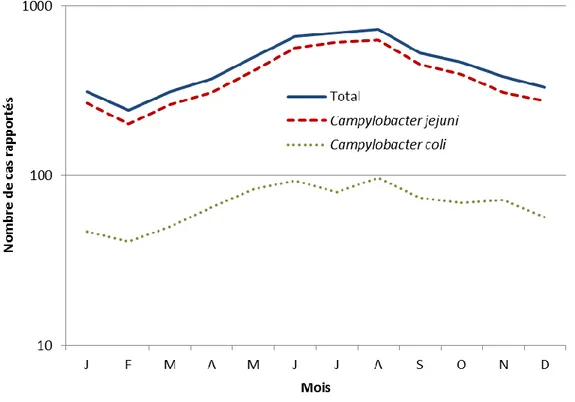 Figure 5 : Répartition des cas de Campylobacter et bactéries apparentées par mois, France, 2015  (27)