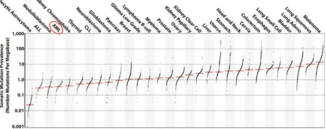 Figure 2. Nombre moyen de mutations somatiques par mégabase dans les cancers 