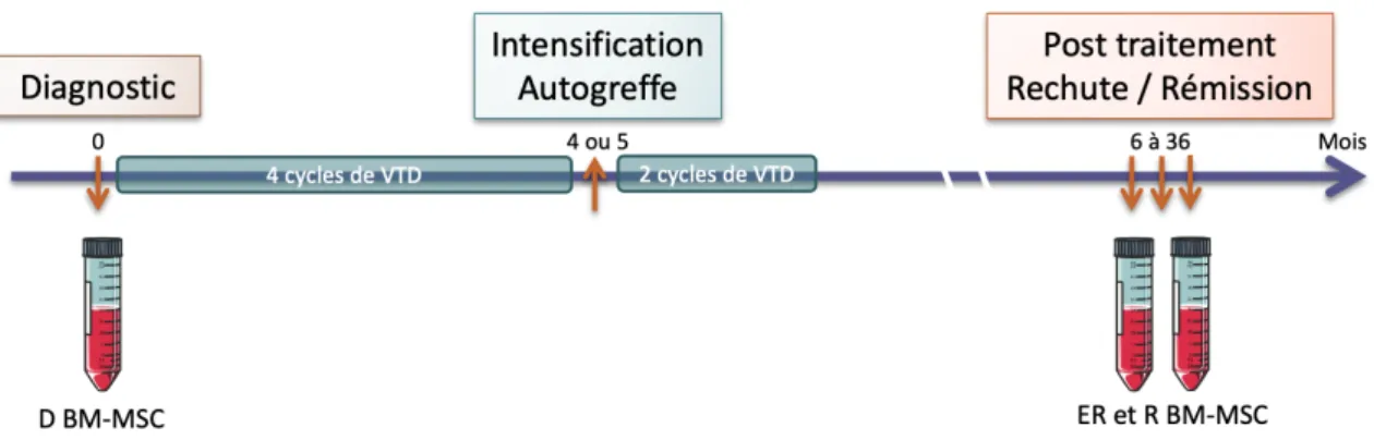 Figure 5: Schématisation du recueil des prélèvements de patients 