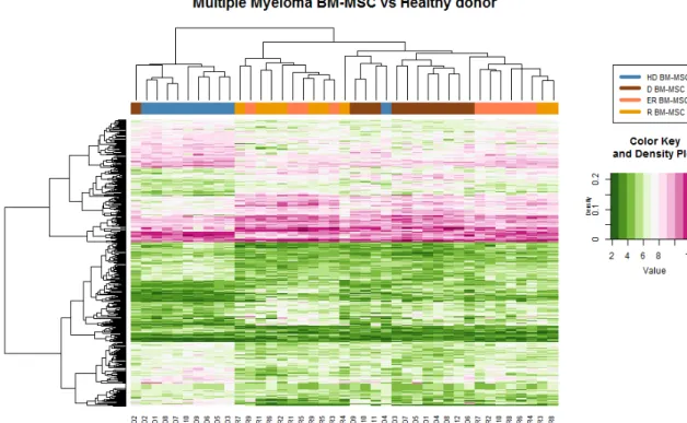 Figure 8: Heatmap des MSC de MM versus donneur sain. 