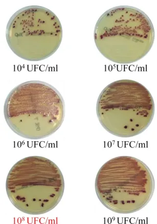 Figure 4 Abaque de référence – Staphylocoques.  Figure 5 Abaque de référence – Bacilles à Gram négatif.