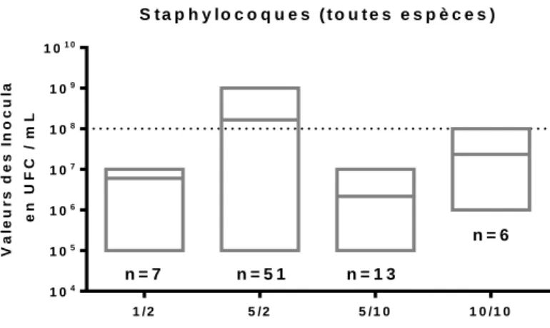 Figure 8 Représentation des inocula obtenus selon les différents essais de dilution - Staphylocoques 