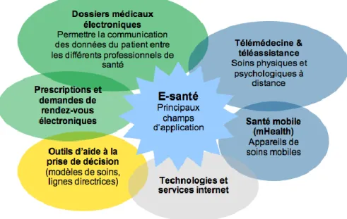 Figure 1: Les différentes composantes de la e-santé  (10)