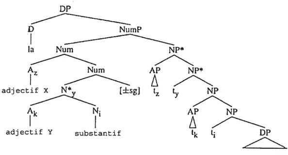 Figure 2: Structure du DP après mouvements et incorporations (Valois, 1991)