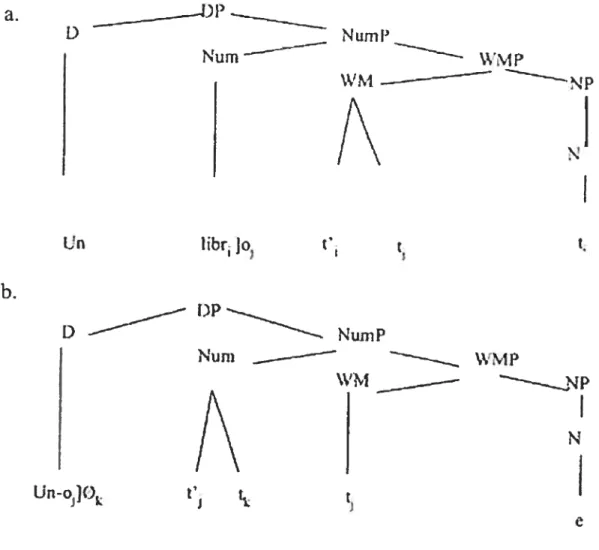 Figure 6: Le marqueur de mot comme catégorie fonctionnelle, selon Bernstein (Liceras, D’az et Mongeon 2000)