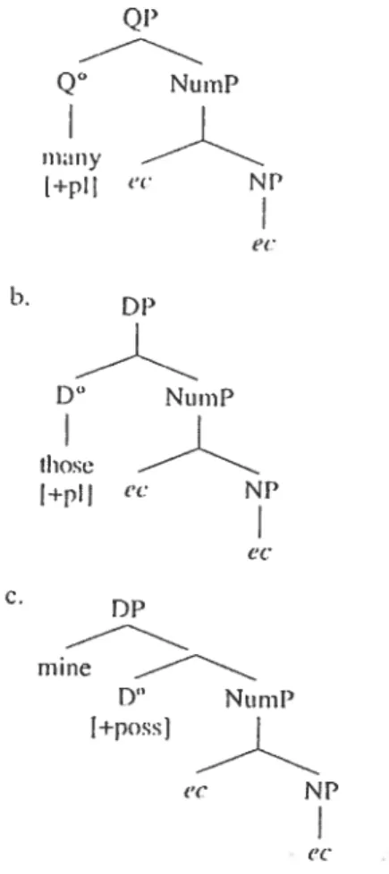 Figure 12 : Structure du DP, légitimation du nom nul