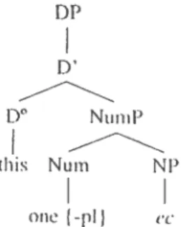 Figure 13 : Structure du DP, insertion obligatoire de « one »