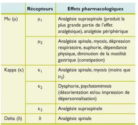 Tableau 2 : Effets pharmacologiques des opioïdes selon les récepteurs (31)  