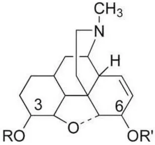 Figure 4 :Structure chimique de la morphine(32) 