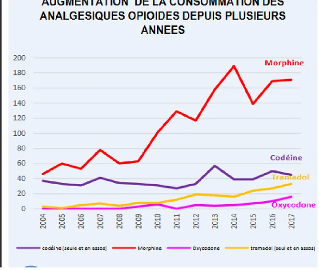 Figure 9 : Graphique révélant la consommation d’analgésiques opioïdes sur plusieurs années  (en %) (62) 