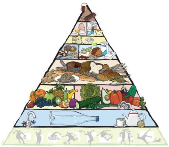 Figure 2 - Pyramide alime ntaire des végétariens (8) 