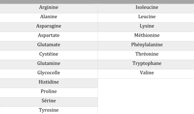 Tableau n°5 : Liste des acides aminés protéinogènes 