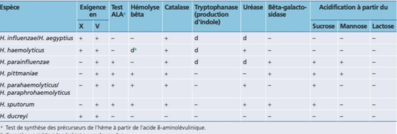 Tableau 1. Caractères principaux d’identification des espèces humaines d’Haemophilus  D’un point de vu phylogénétique, le genre Haemophilus est un ensemble hétérogène  au  sein  d’une  même  famille  (Tableau  1)  (3)