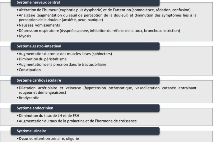 Tableau 7 : Principaux effets provoqués par les substances opioïdes utilisées en toxicomanie