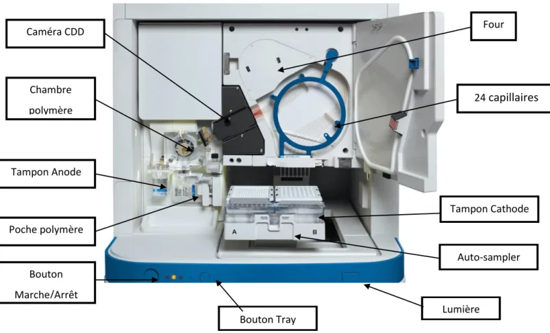 Figure 2 : Séquenceur 3500xl DX Genetic Analyzer (Applied Biosystems)