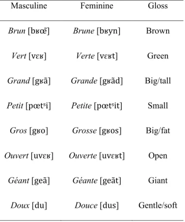 Table 1: Examples of variable adjectives in French 