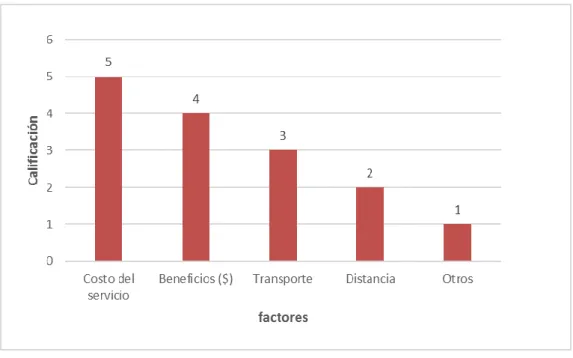 Figura 5. Factores que influyen en la decisión del productor para utilizar el agroprocesamiento 