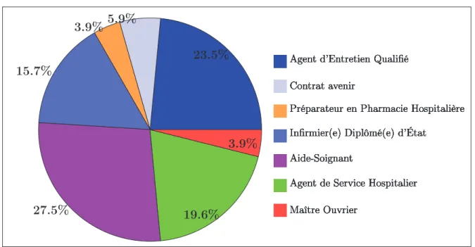 Figure 3 – Catégories professionnelles rencontrées au sein du service de stérilisation centrale du CHU de ROUEN en pourcentage