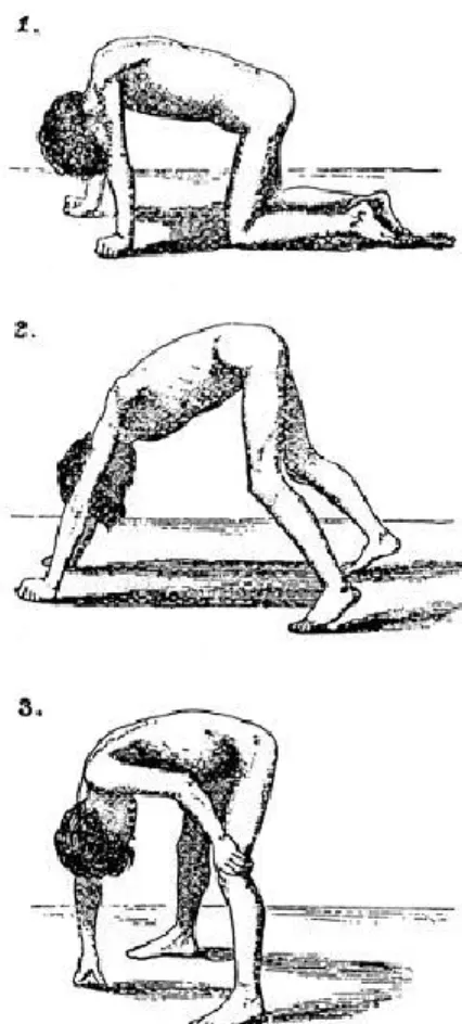 Figure 6. Manœuvre de Gower 